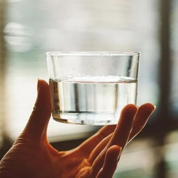 Water Filter Plus