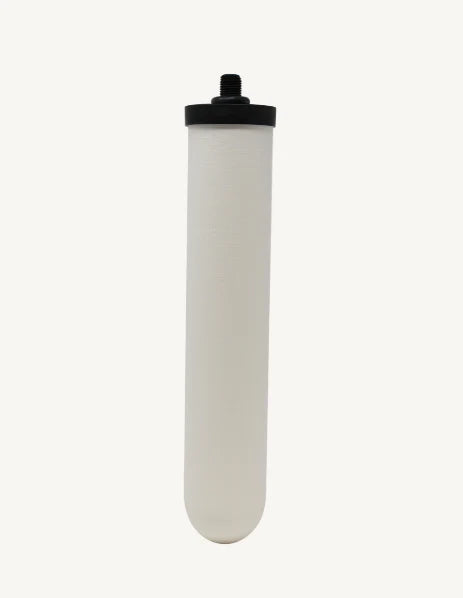 Doulton NSF Ultracarb® Water Filter (W9123053)